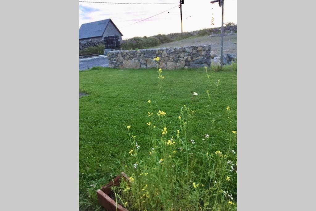 Tigh Noor - Escape To Kinvara By The Sea! Galway Buitenkant foto